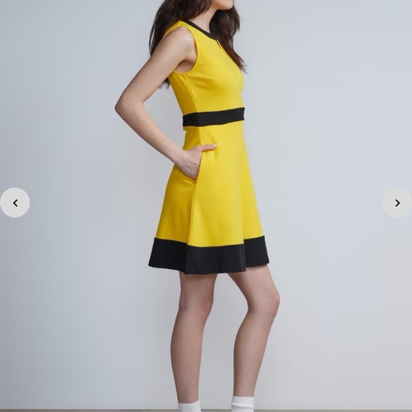 New York & Company Piped Flare Dress - City Knits - Picture 2 of 6